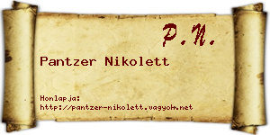 Pantzer Nikolett névjegykártya